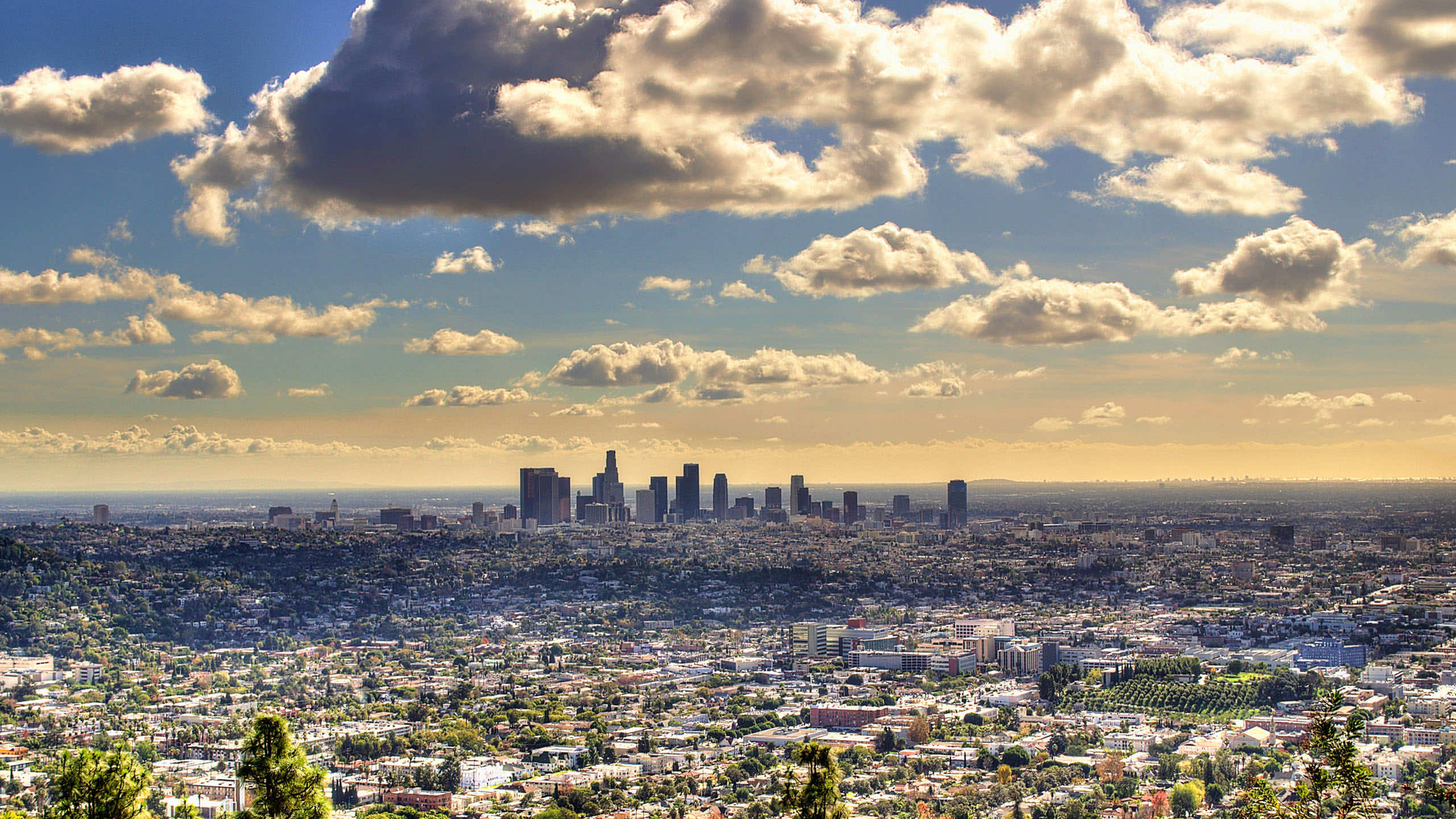 42 High Definition Los Angeles Wallpaper Images In 3D For Download.