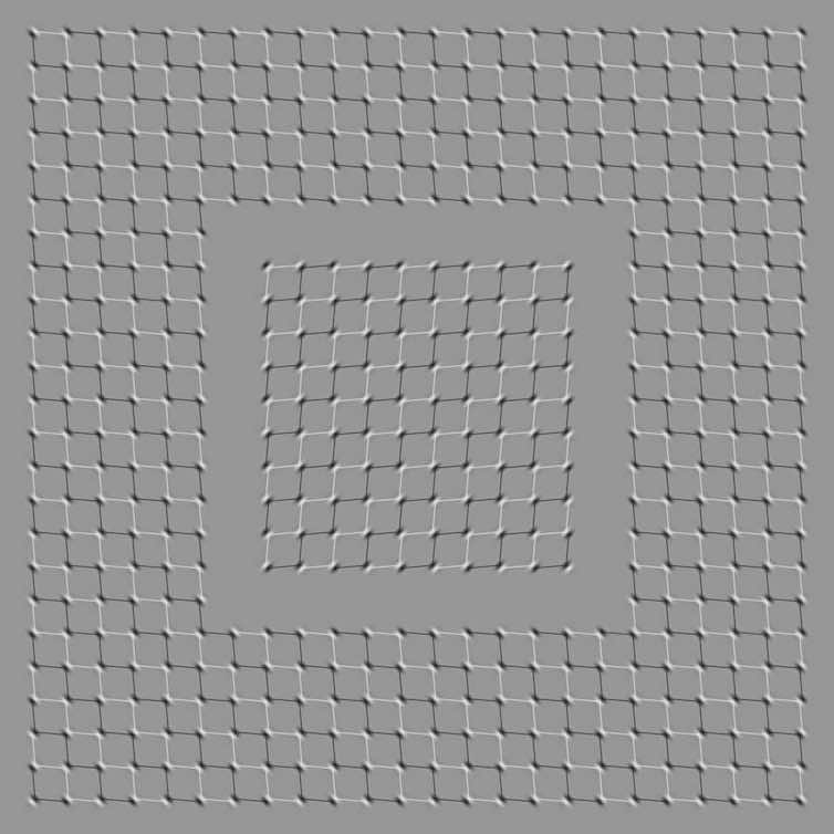 20 Images That Will Put Your Brain To Test featured