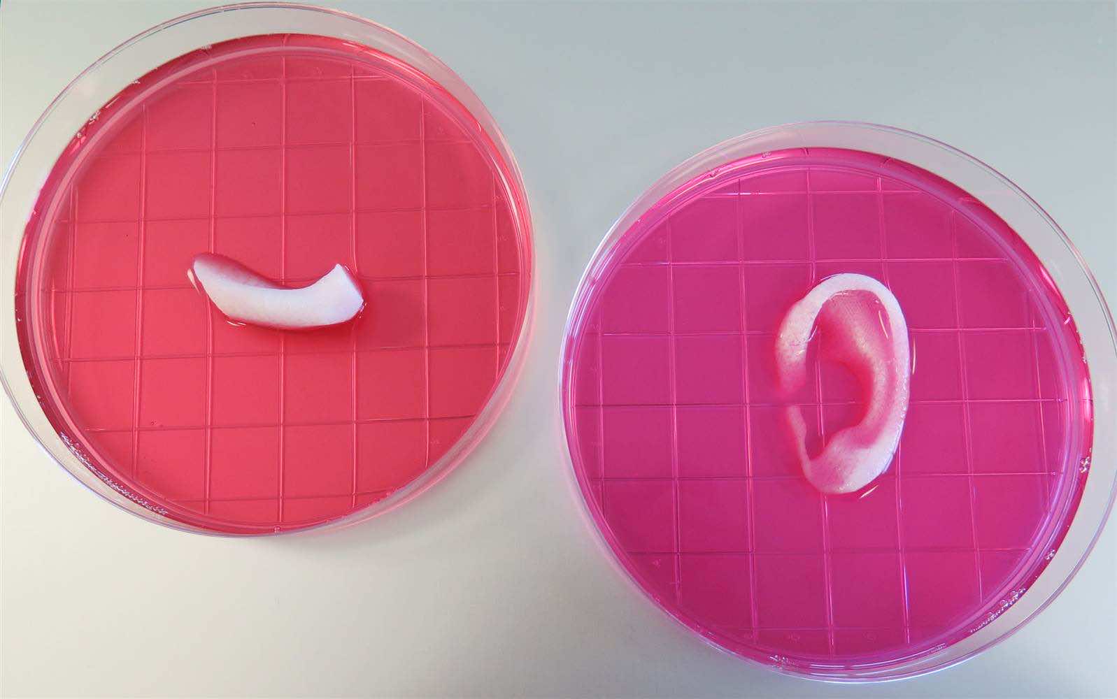 Latest 3D Bio Printer Can Make Body Parts That Are ‘Alive’ 2