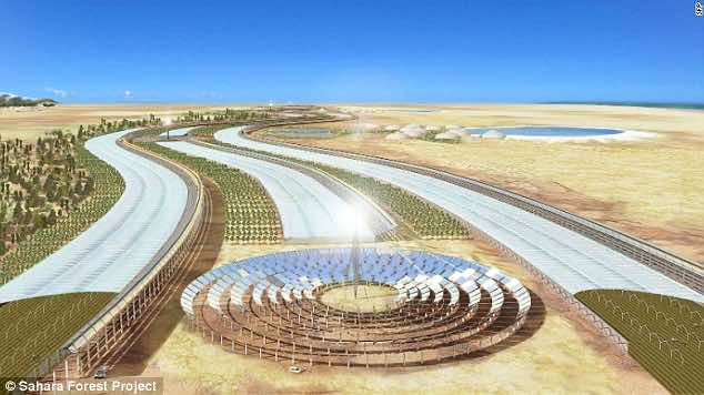 30 million dollar farm in Sahara desert5