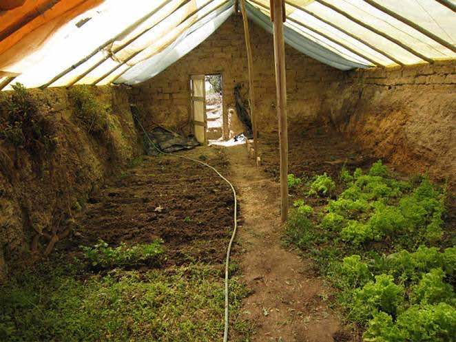 walpini underground greenhouse2