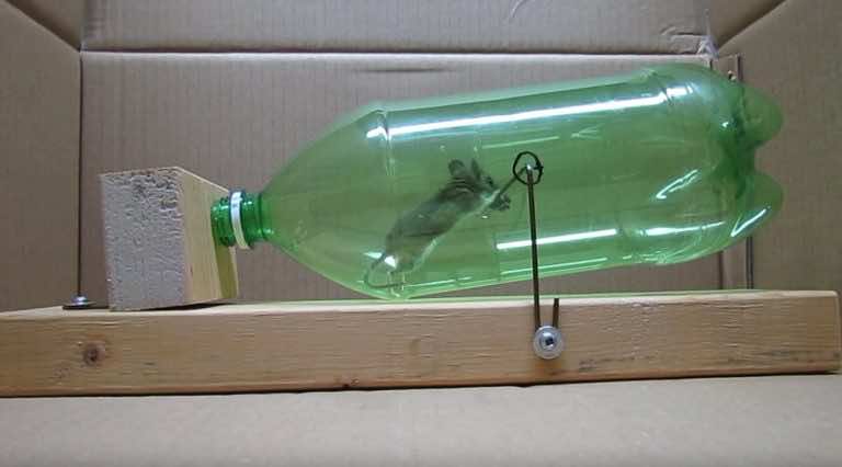 This Clever And Humane Mousetrap Uses A Soda Bottle To Captu