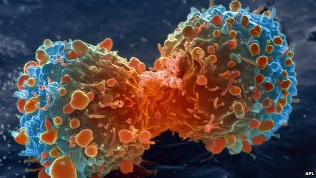 Experts Have Allegedly Made A Breakthrough In Universal Cancer Vaccine_Image 3