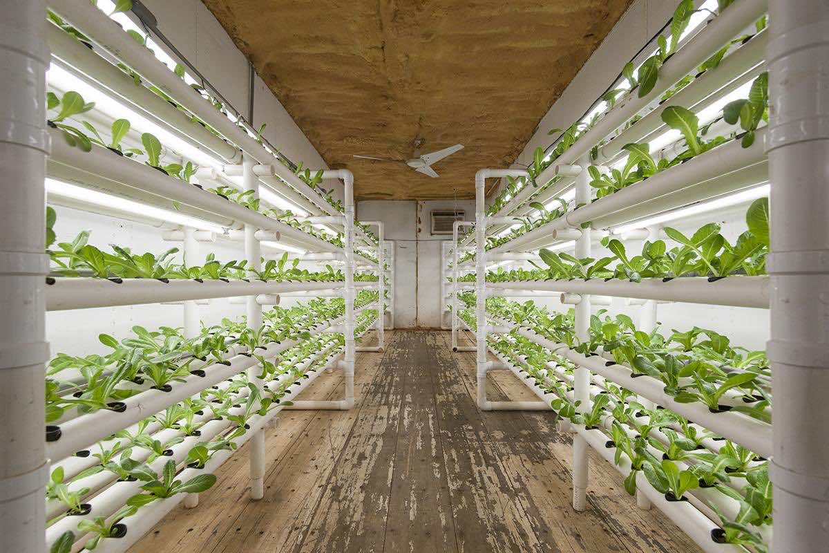 Shipping Containers Set To Redefine The Future Of Farming_Image 4