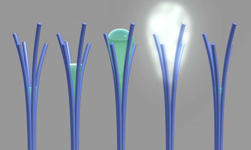 Weird, Water-Oozing Material Could Help Quench Thirst_Image 1