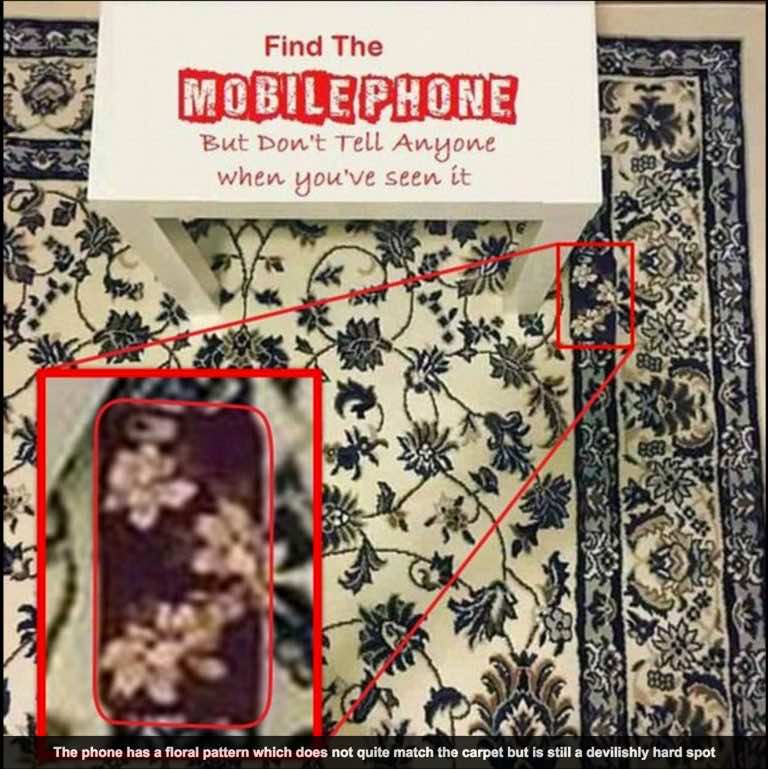 Can You Solve This Cellphone On The Rug Illusion That Is Con