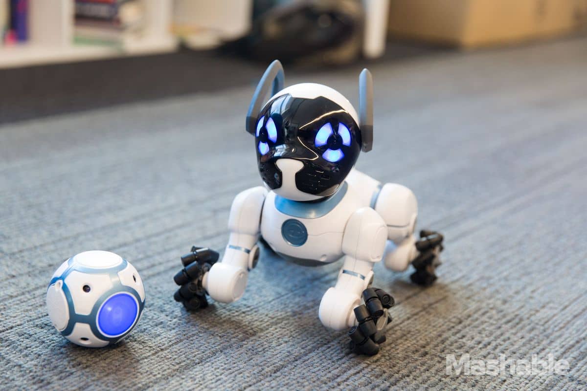 chip robot dog toys