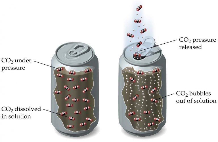 does-tapping-a-soda-can-really-prevent-it-from-fizzing-over