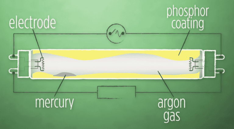 Ever Wondered Why Do The Fluorescent Lights Buzz? Here Is Th