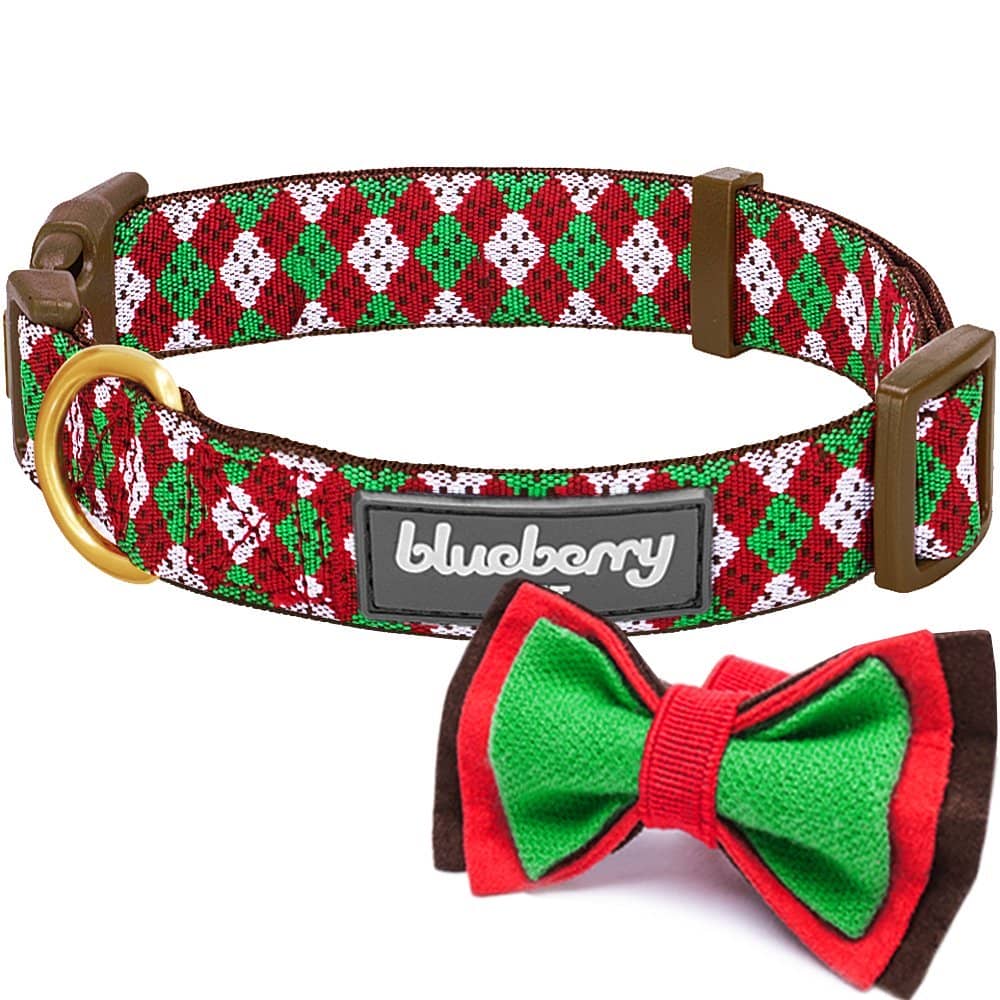 10 Best Christmas Gifts For Pets