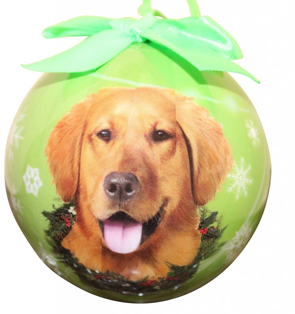 10 Best Christmas Gifts For Pets