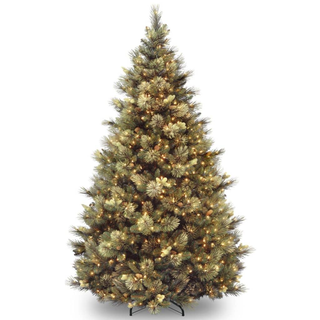 10 Best Christmas Trees For Home