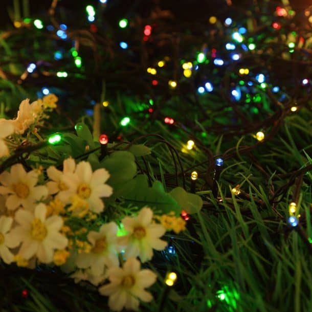 10 Best Solar Powered Christmas Lights