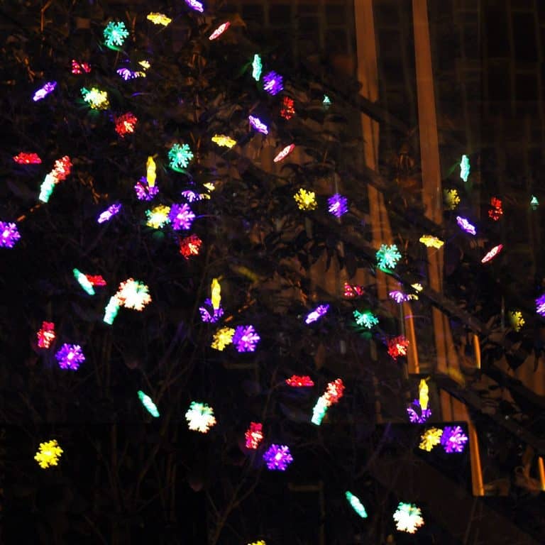 10 Best Solar Powered Christmas Lights