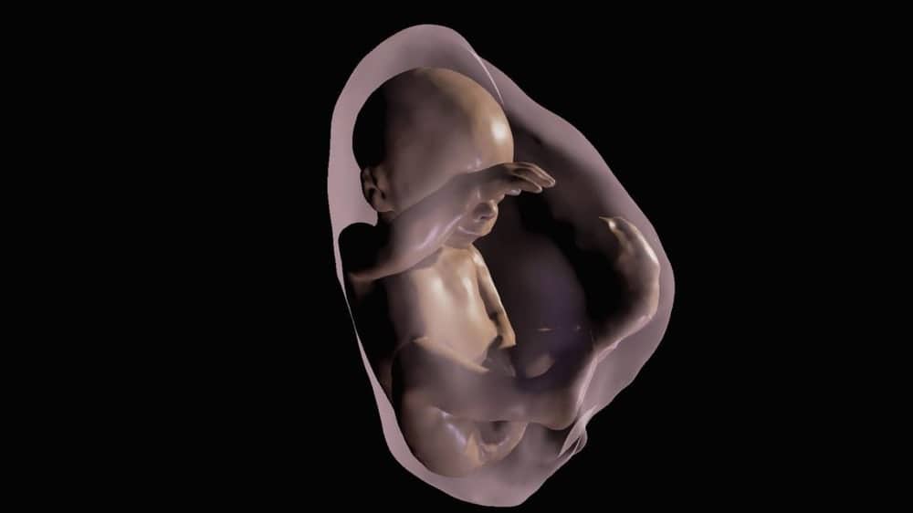 virtual-reality-fetus-4