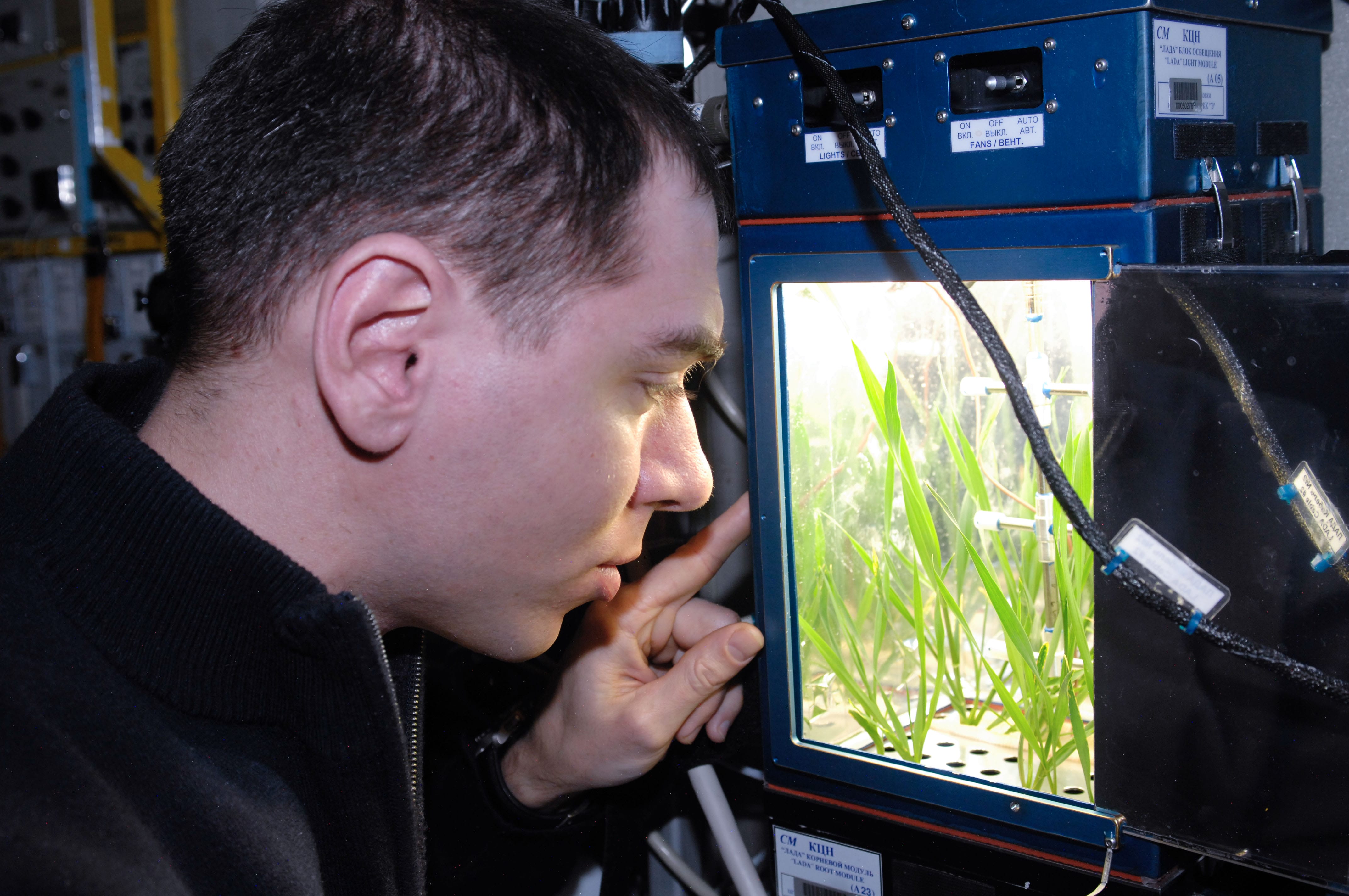 here-is-how-plants-grow-in-microgravity-at-the-international