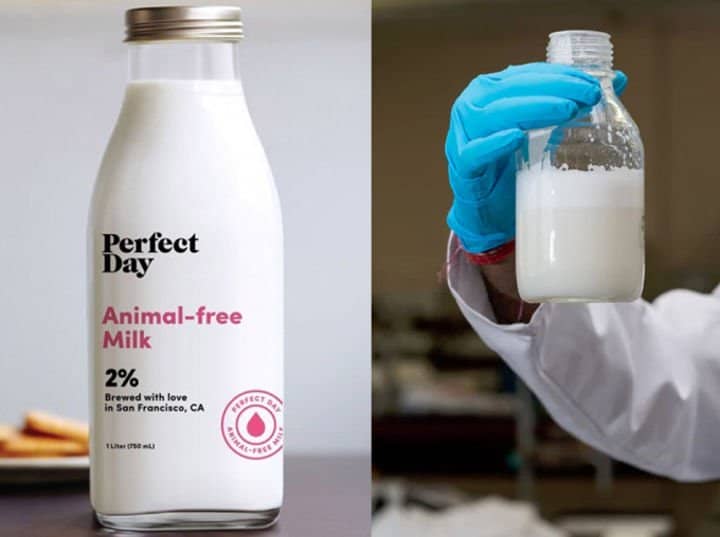 This Startup Makes Totally Synthetic Milk That Tastes Like C