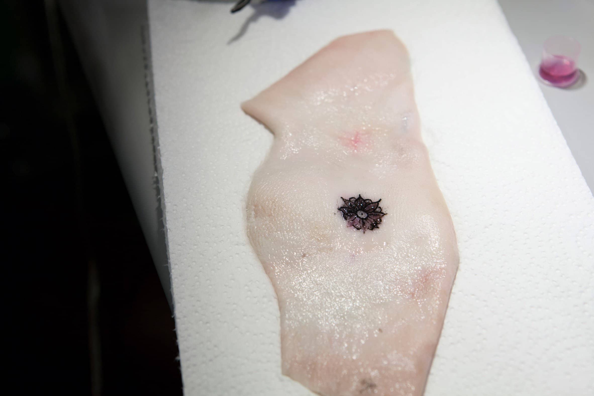 Researchers Develop ColorChanging Tattoo Ink That Monitors