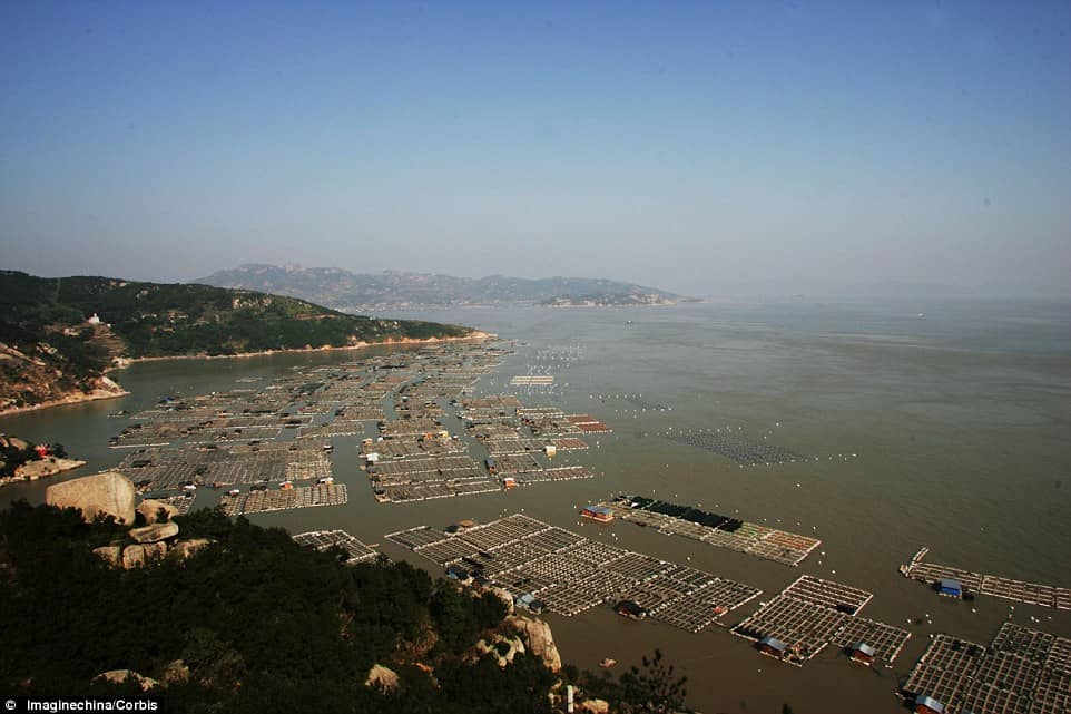 These Unique Floating Fish Farms Of China Provide Two Thirds