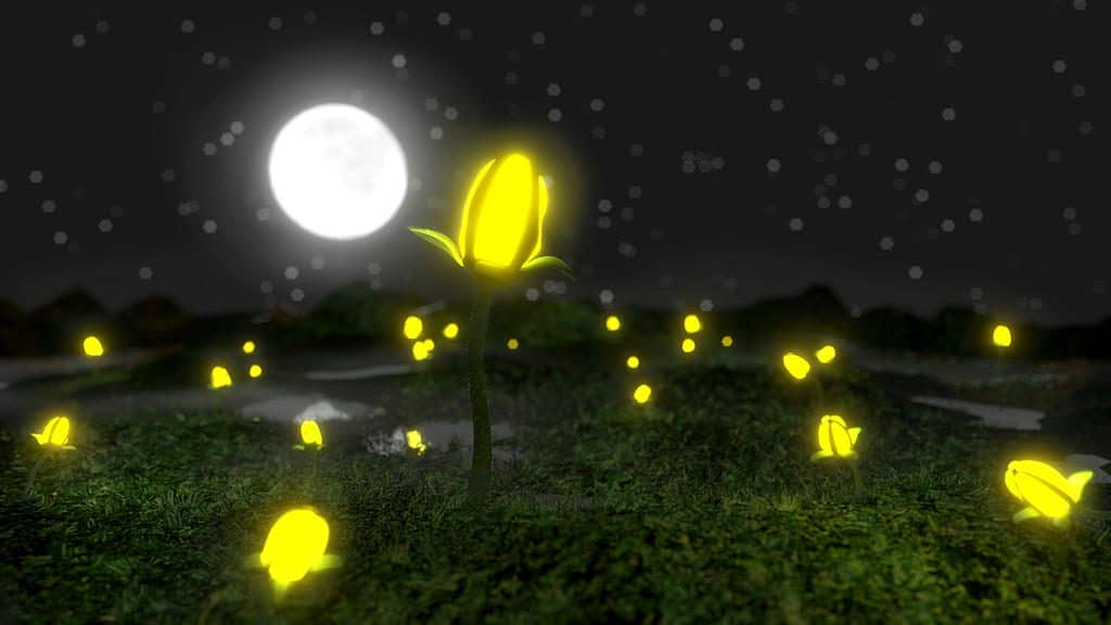 MIT Hacks Plants To Make Them Glow Like Fireflies
