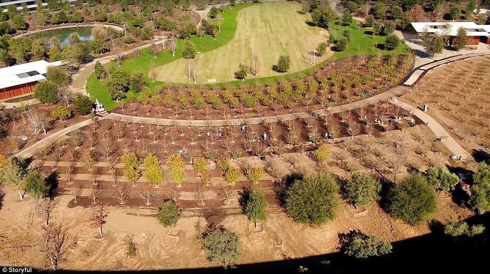 New Drone Footage Shows The 5 Billion Apple Park Almost Com