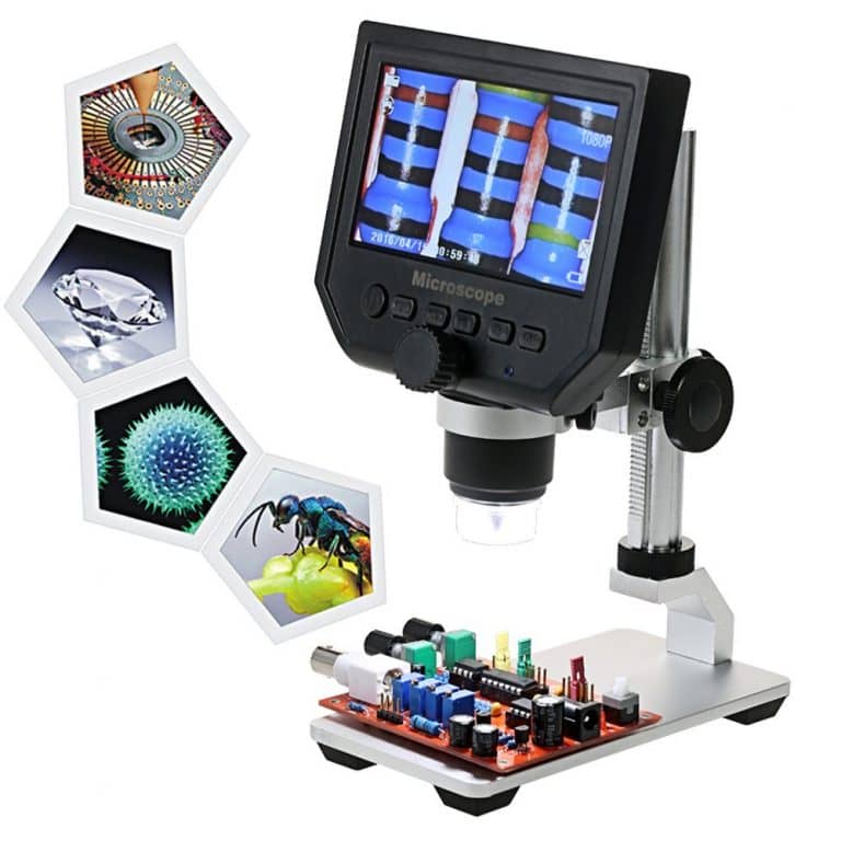 10 Best Electronic Microscopes