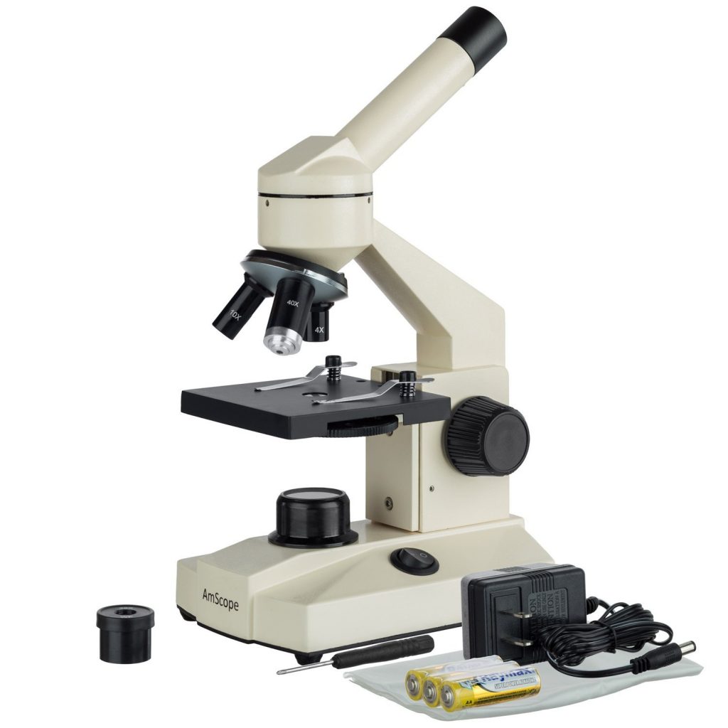 7 Best Compound Microscopes