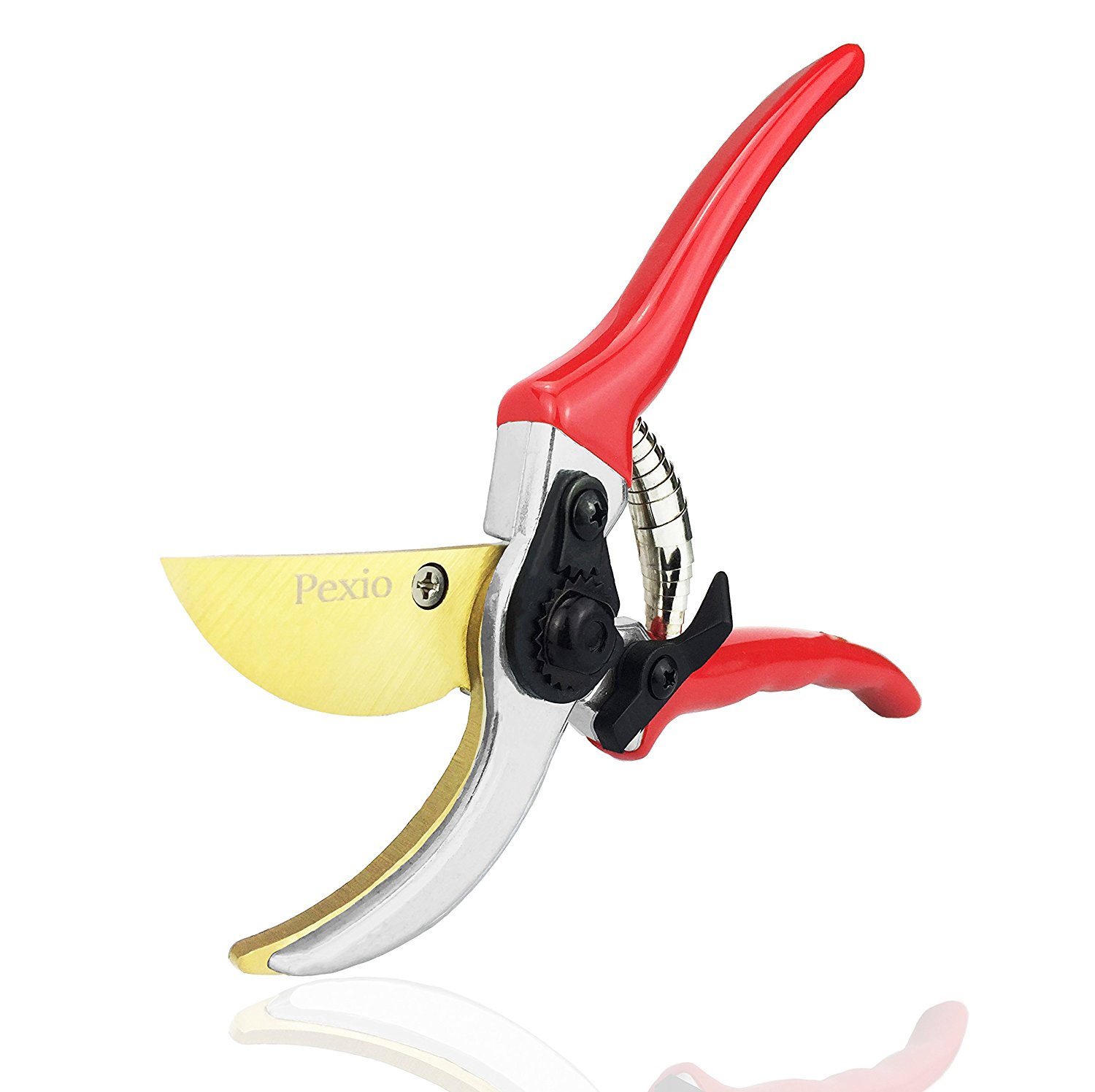 10 Best Pruning Shears