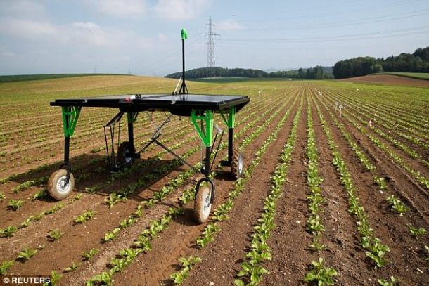 New Weed Killer Robot Scours The Fields And Takes Out Weeds With A