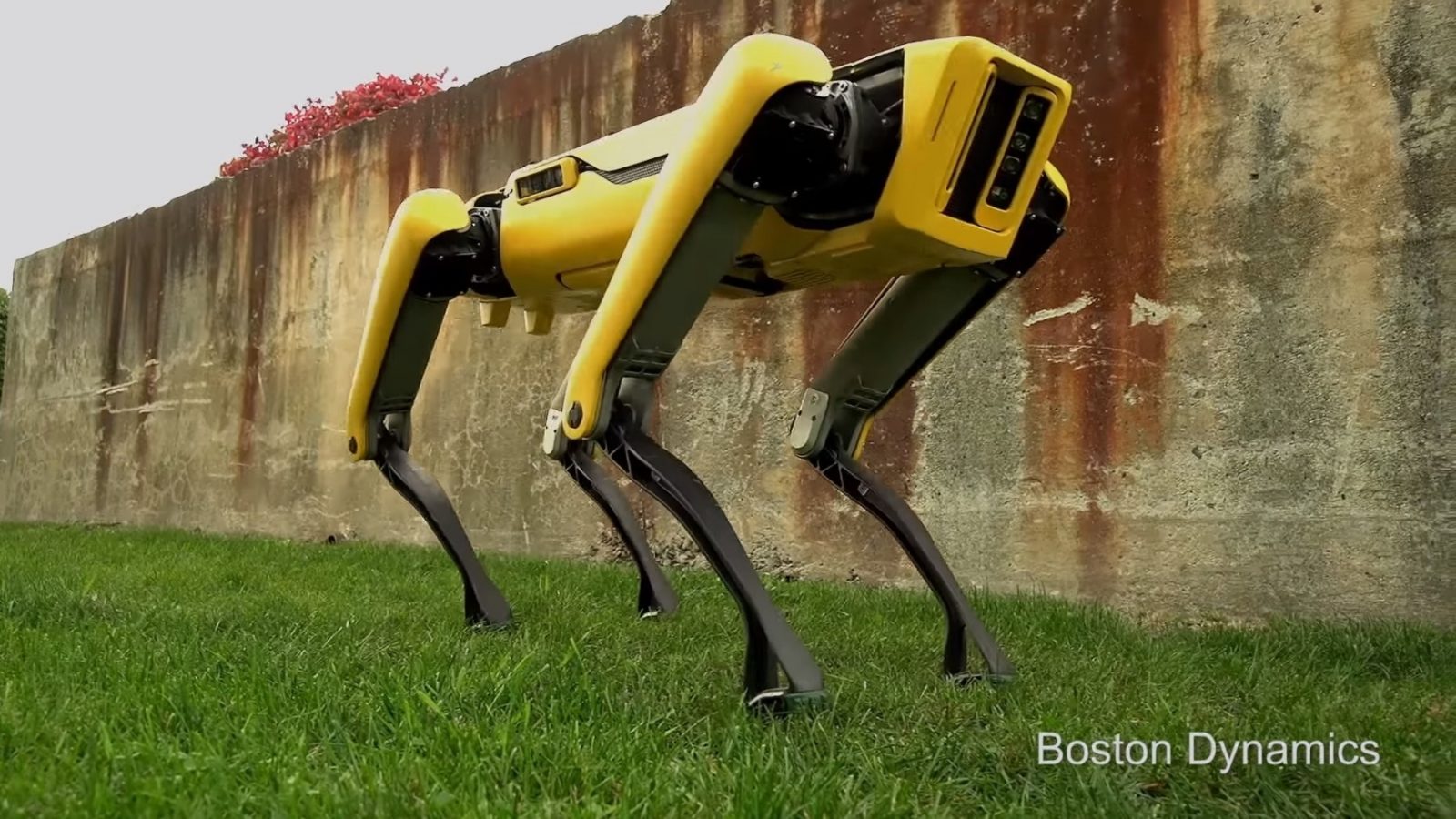 Boston Dynamics Will Sell Its Dog Like Robot Commercially In