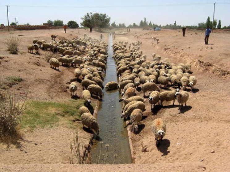 Qanat Are Underground Channels That Supply Water In Iraq For