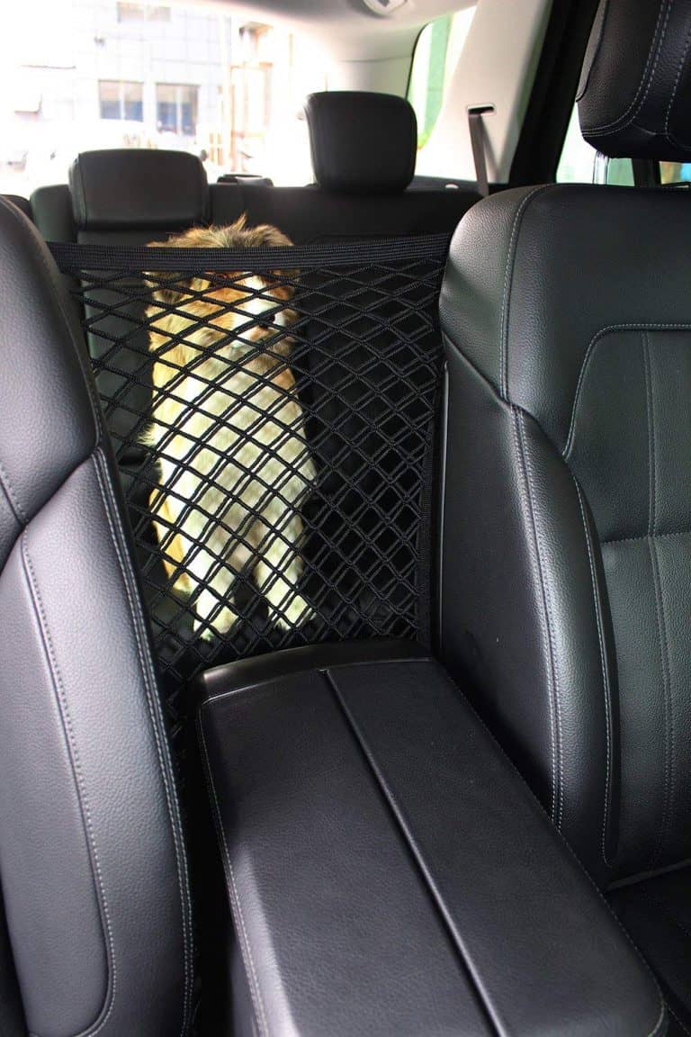 10 Best Ford F150 Dog Seat Covers