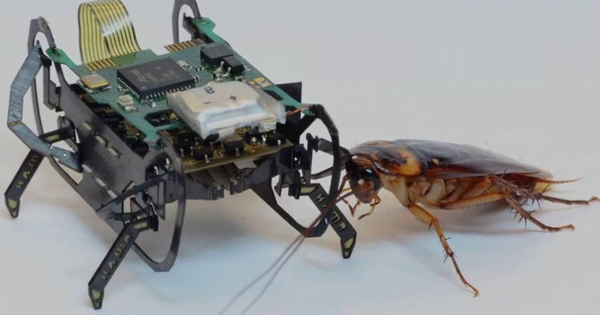 HAMR cockroach robot