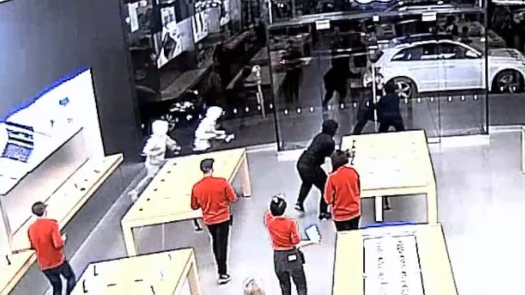 apple store thieves