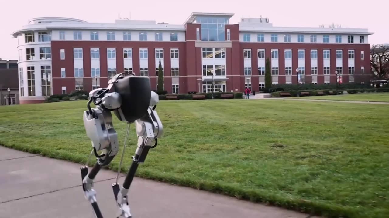 cassie robots created by agility robotics