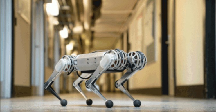 The Mini Cheetah Is A Four-Legged Robot By MIT That Can Do Backflips!