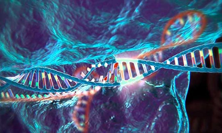 Learn Everything About Gene Editing Technology Crispr In Thi