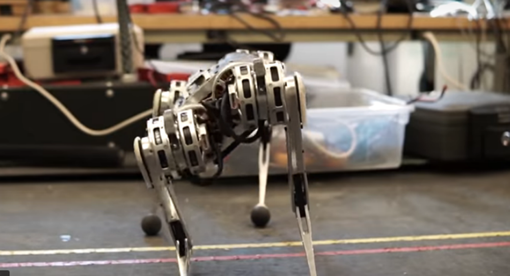 Mini Cheetah робот. Cheetah — Четвероногий робот. Cheetah Boston Dynamics. Конечности робота.