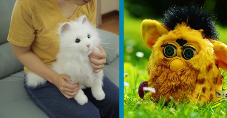 Check Out The Seven Cutest Robots That You Can Buy!