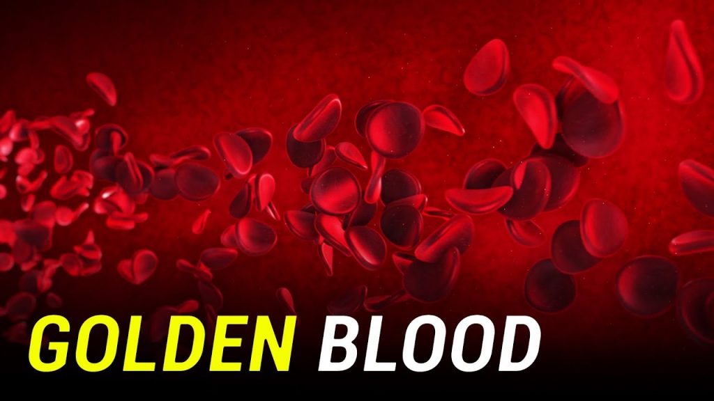 Golden Blood Is The World’s Rarest Blood Type. Here’s Wh