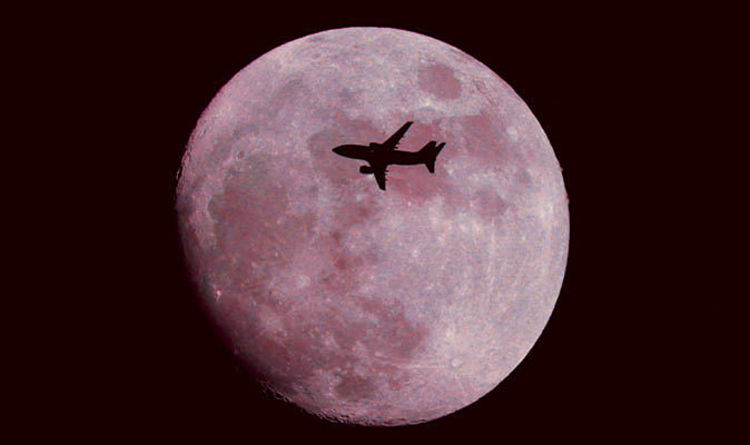 You Can See The Full Pink Moon This Friday!
