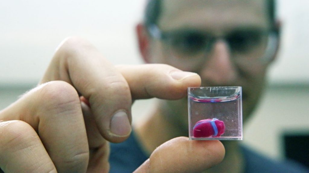 the-very-first-3d-printed-vascularized-heart-has-been-create