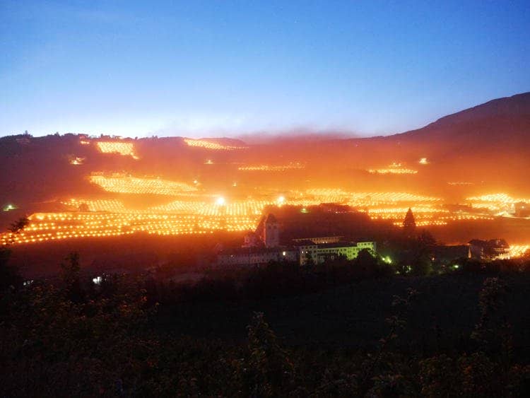 Italian Winemakers Set Fire In Vineyards To Save Vineyards From Cold
