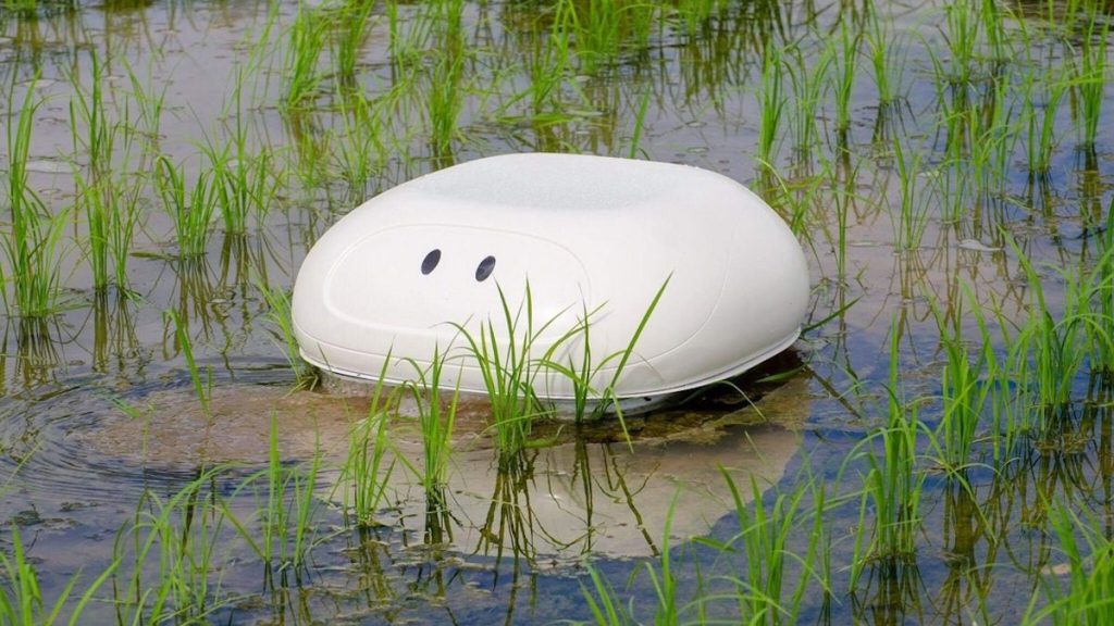 aigamo-robot-is-the-robotic-duck-that-will-save-rice-farming