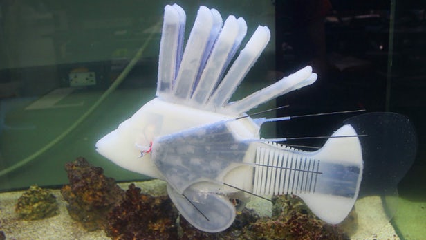 This Robot Fish Is 40cm Long And Powered Using Robot Blood