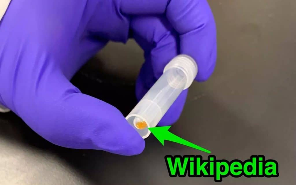 Scientists Store 16GB Of Wikipedia Text Onto A DNA Strand