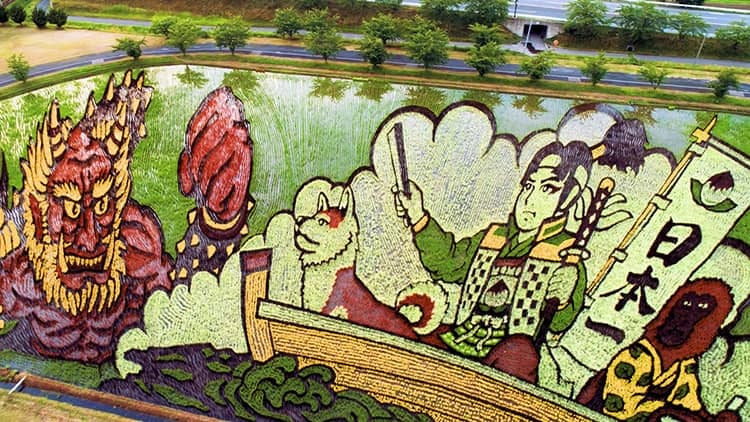 Japanese Farmers Use Rice Paddy Art To Boost Tourism In Inakadate