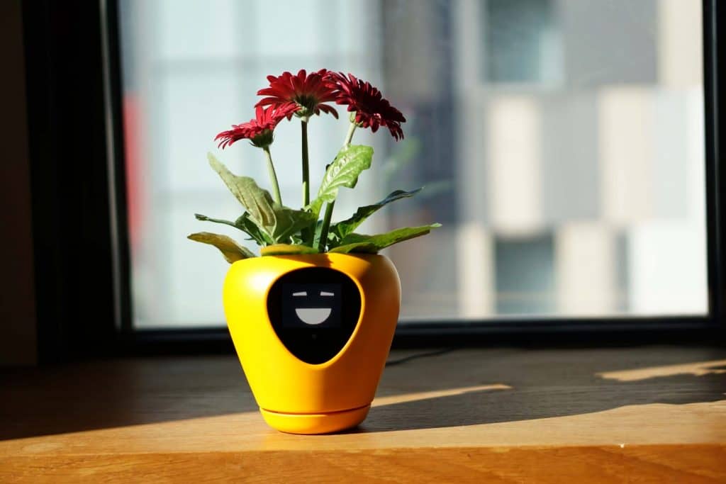 This Smart Pot Has An Animated Face That Tells You How Your