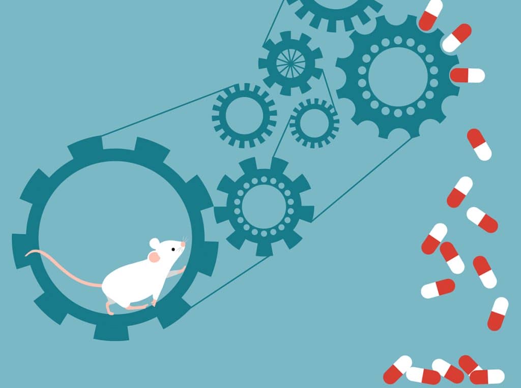 Watch The Journey From Animal Testing To Clinical Trials