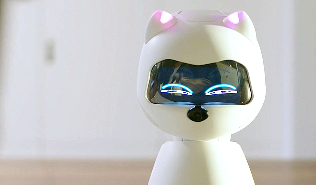 Kiki Is A Robotic Animal That Wants To Be Your Companion